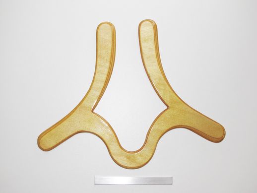 boomerang