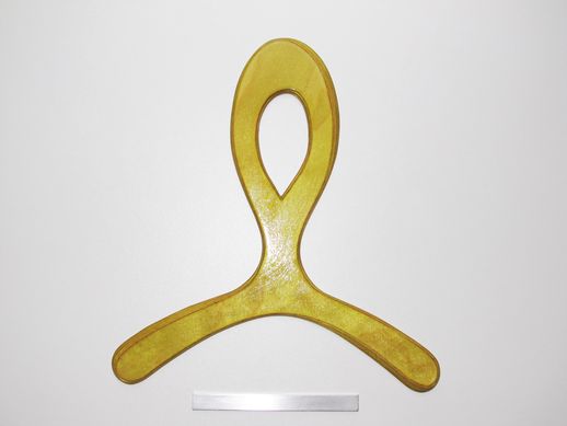 boomerang