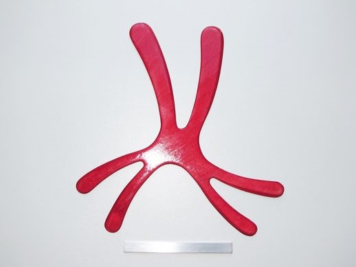 boomerang