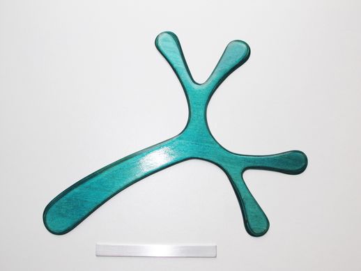 boomerang