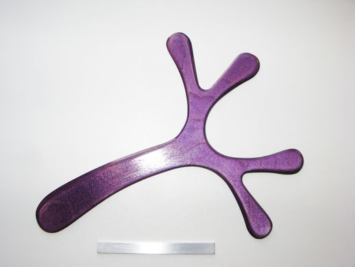 boomerang