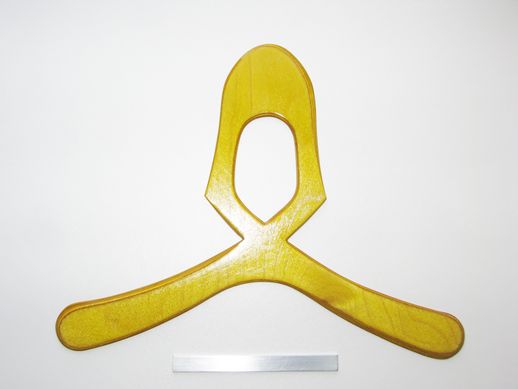 boomerang