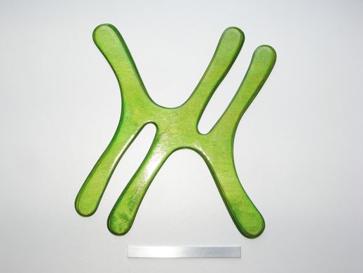 boomerang