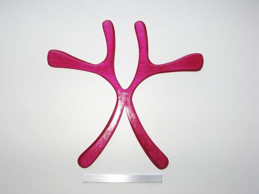 boomerang