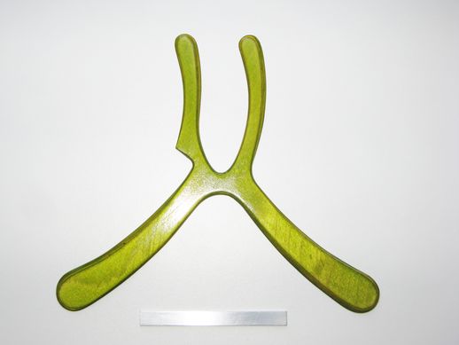 boomerang