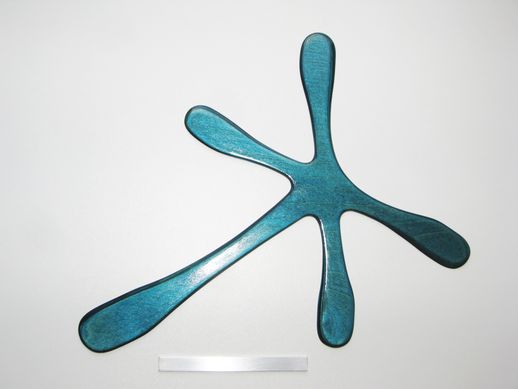 boomerang