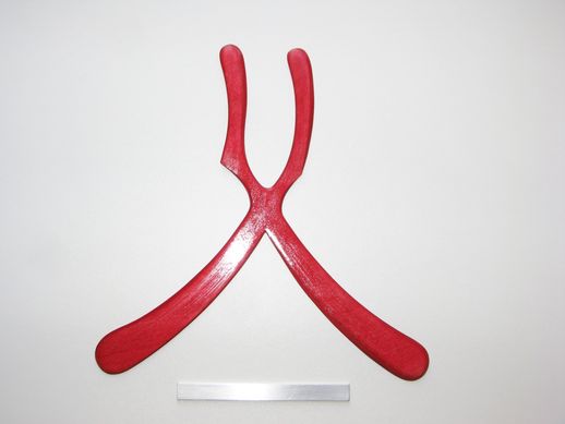 boomerang