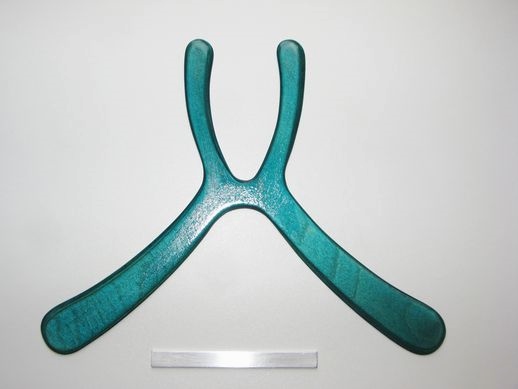 boomerang