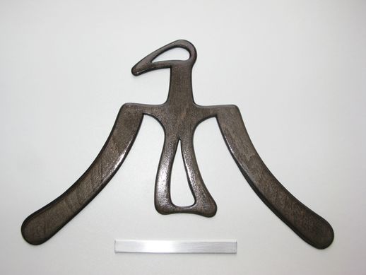 boomerang