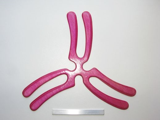 boomerang