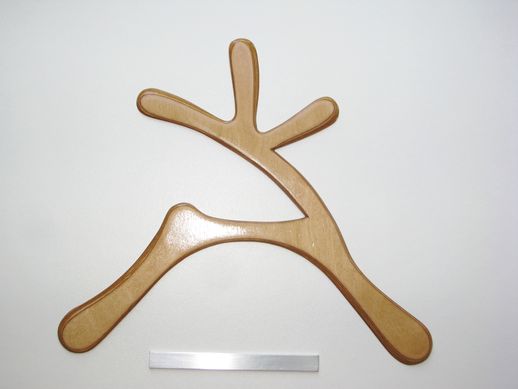 boomerang
