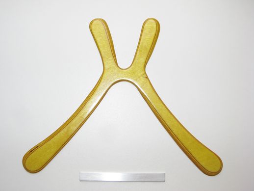 boomerang